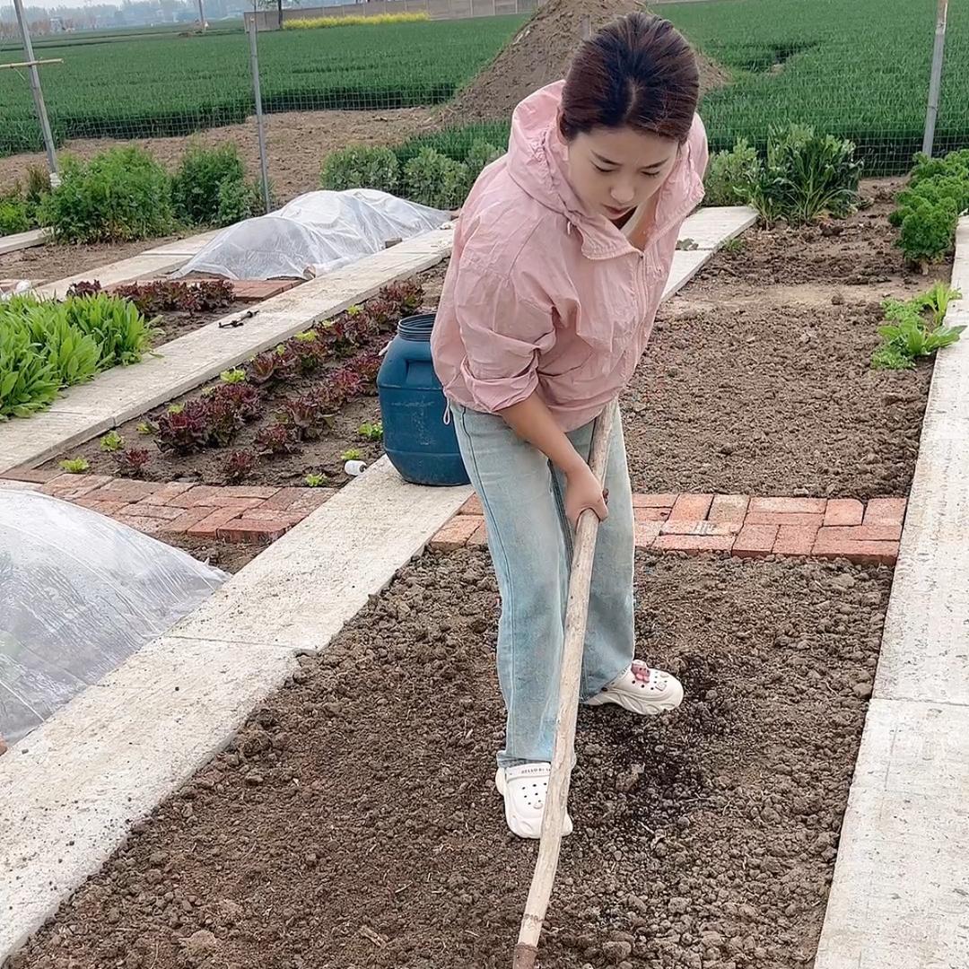 蓉姐小菜园