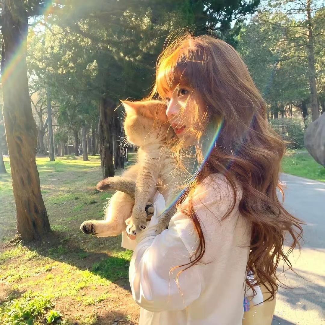 流泪猫猫头ฅฅ