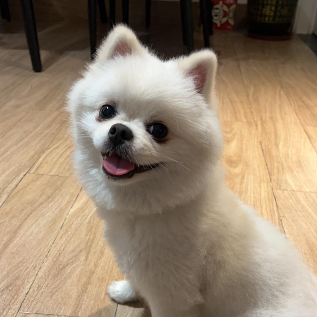 无昵称@