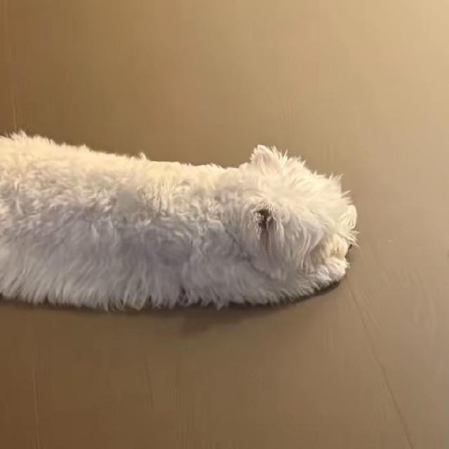 没话讲