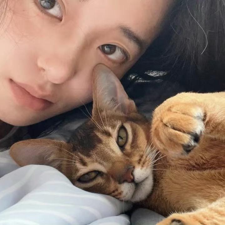 狐姝♡