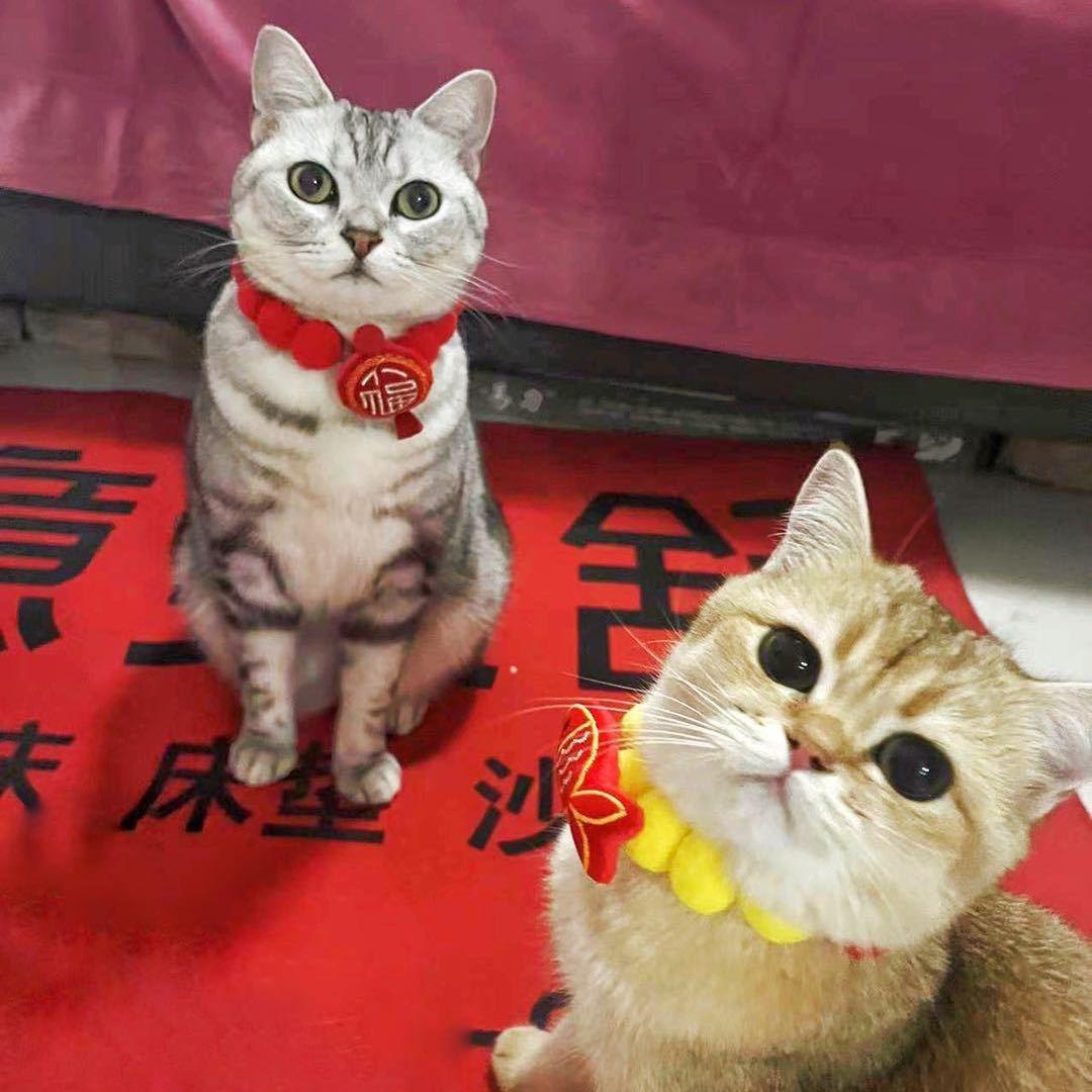 心想事成