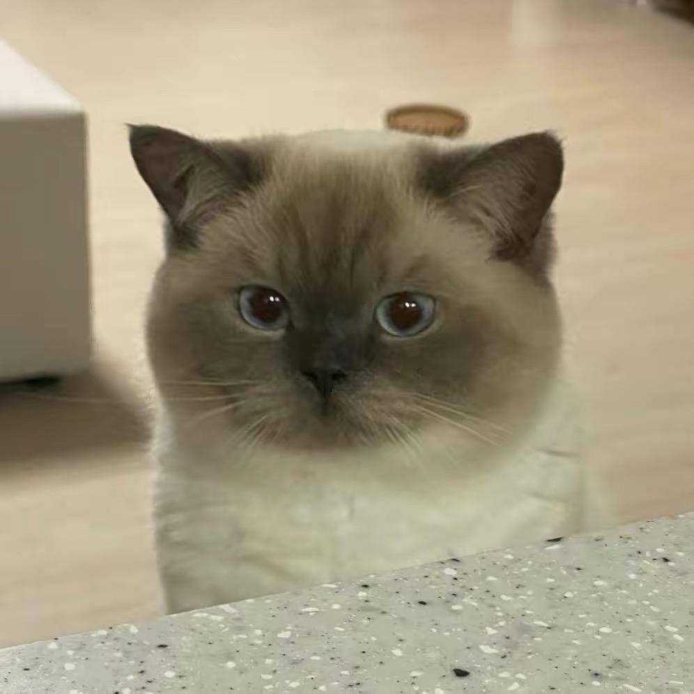 小張不吃香菜