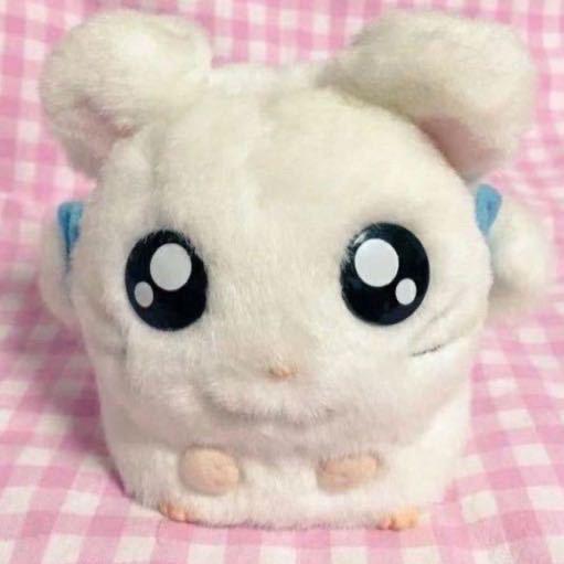 羲羲er