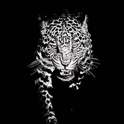 比路虎还虎的男人