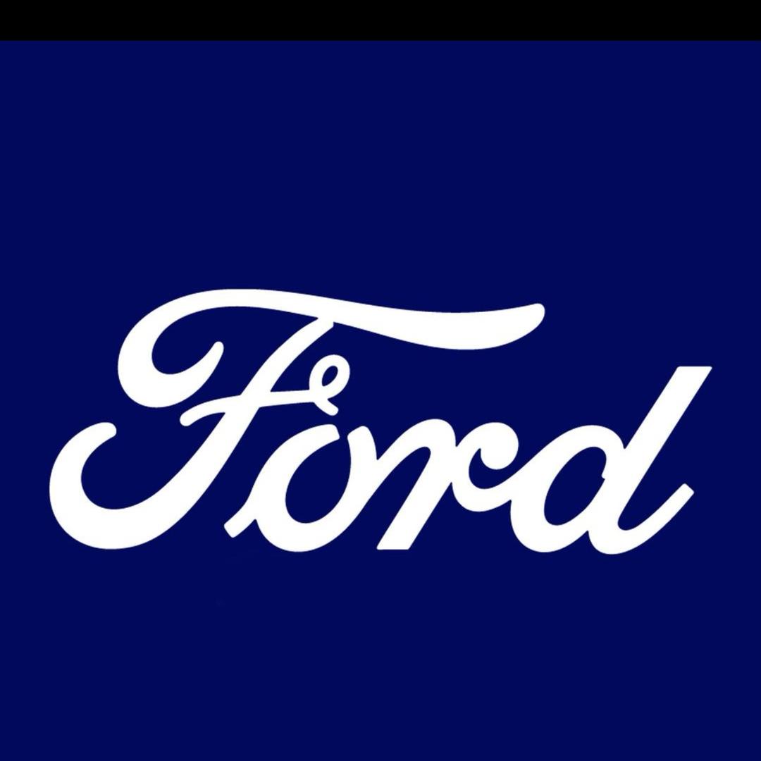 智趣烈马-佛山金福麟福特纵横