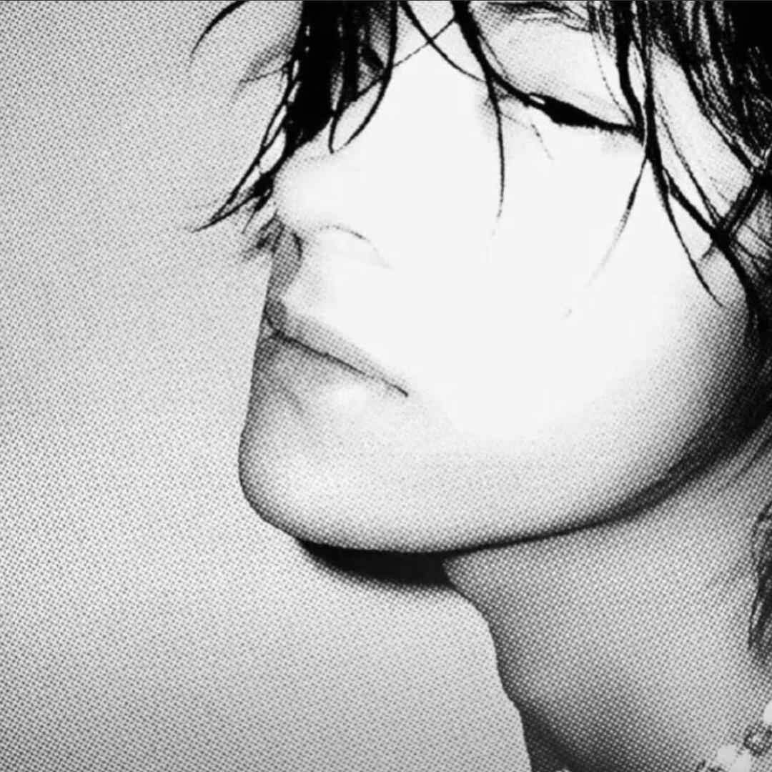 不爱吃香菜（燃尽版）