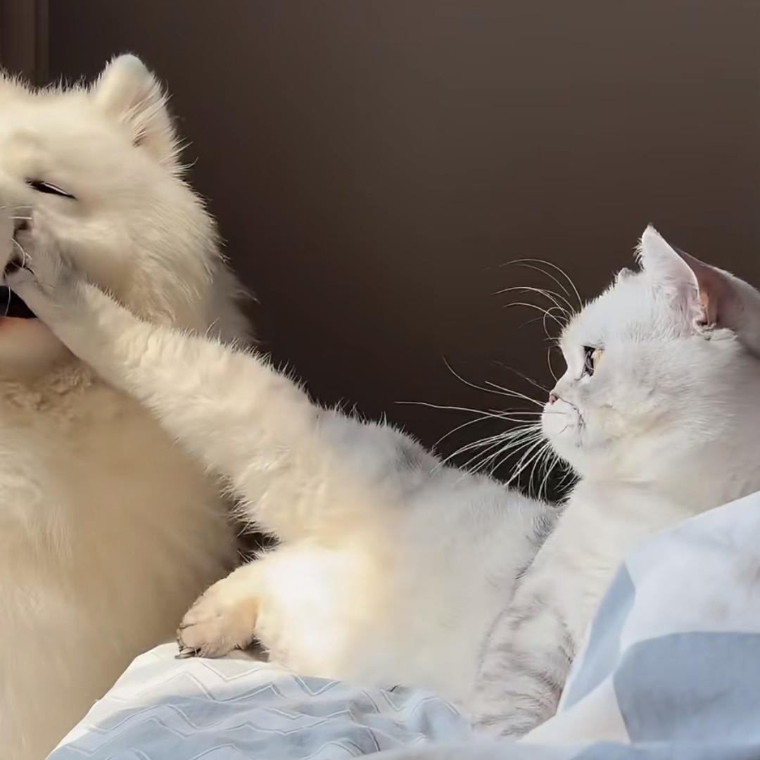 よろこんで！