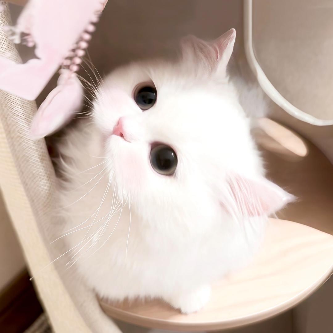 在熬夜我就发财