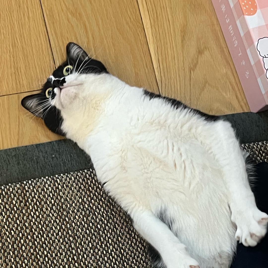 饿了嘛