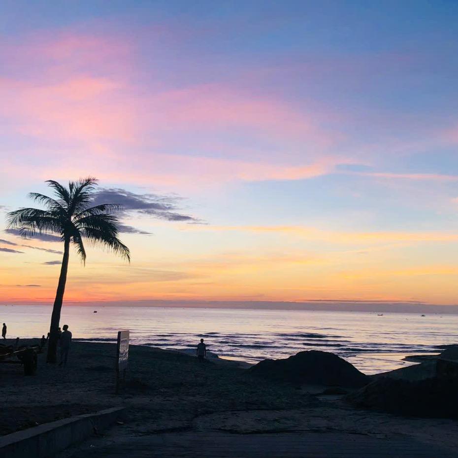 我只沾花不惹草