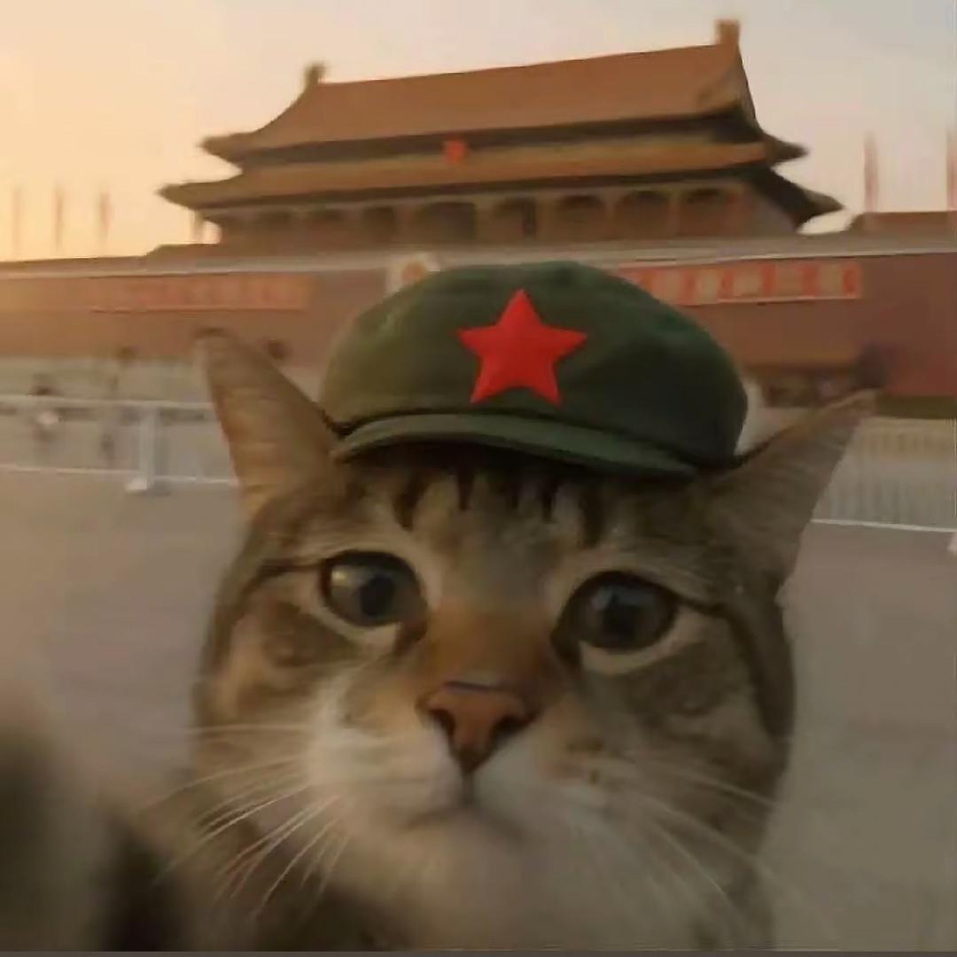 AKA温子没有迪