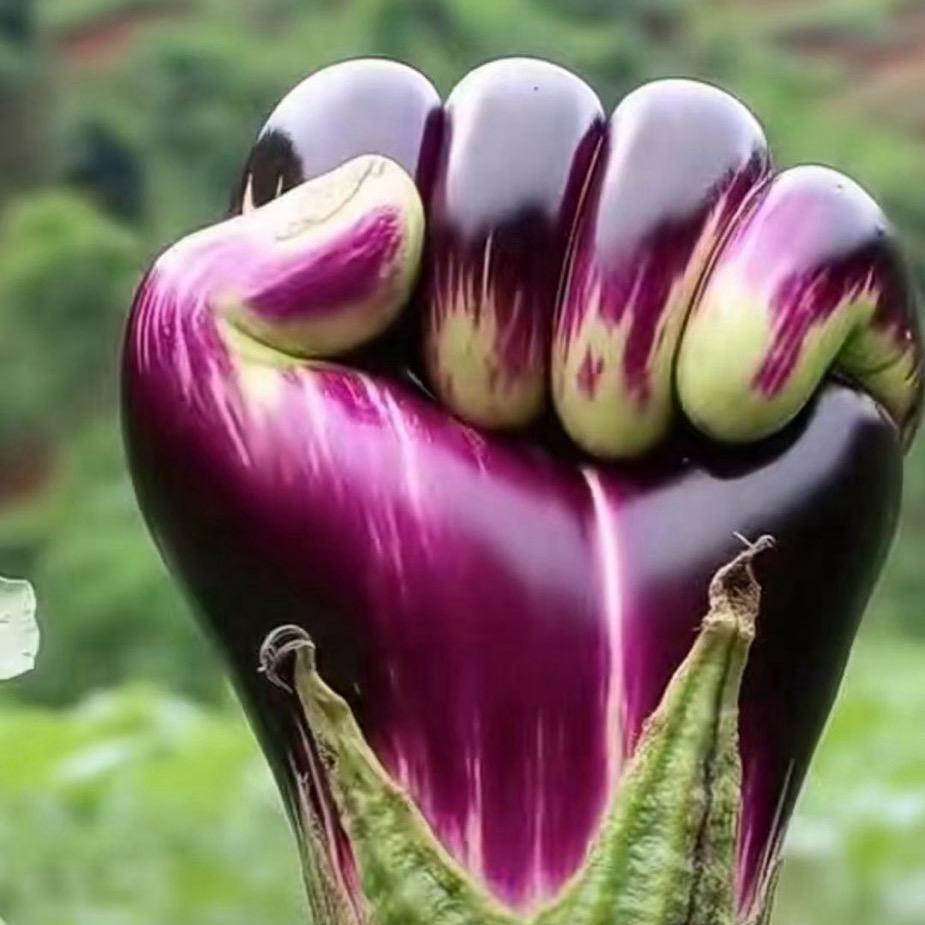 养马人（卖了一匹小马养了一匹大马）