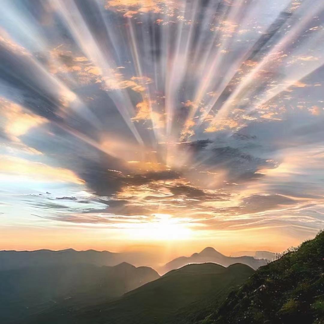 马上發优品轻奢