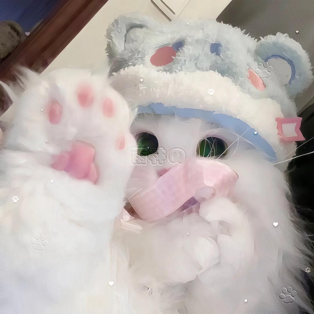 雨 ㅤ