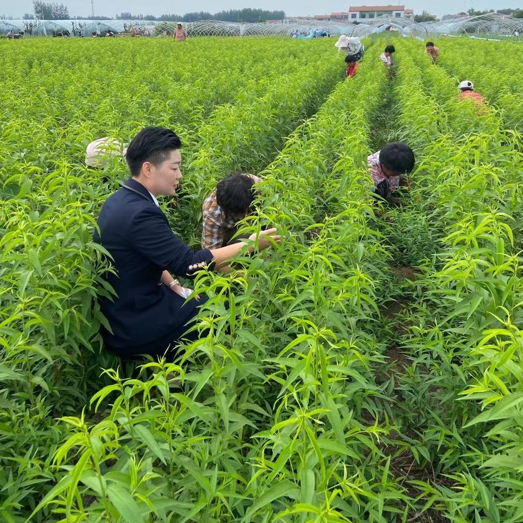 果树农资 店铺号