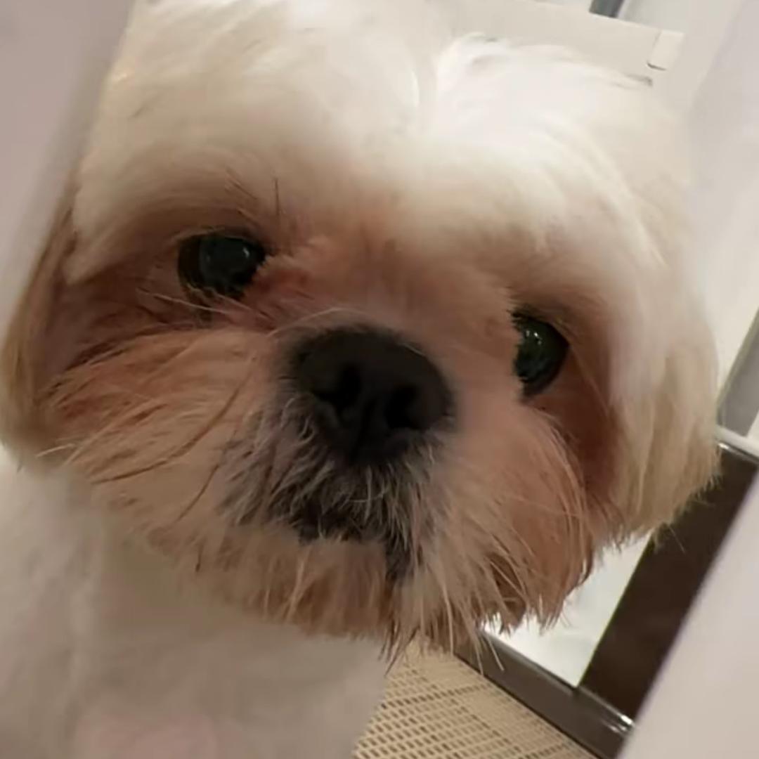 给痛一点时间