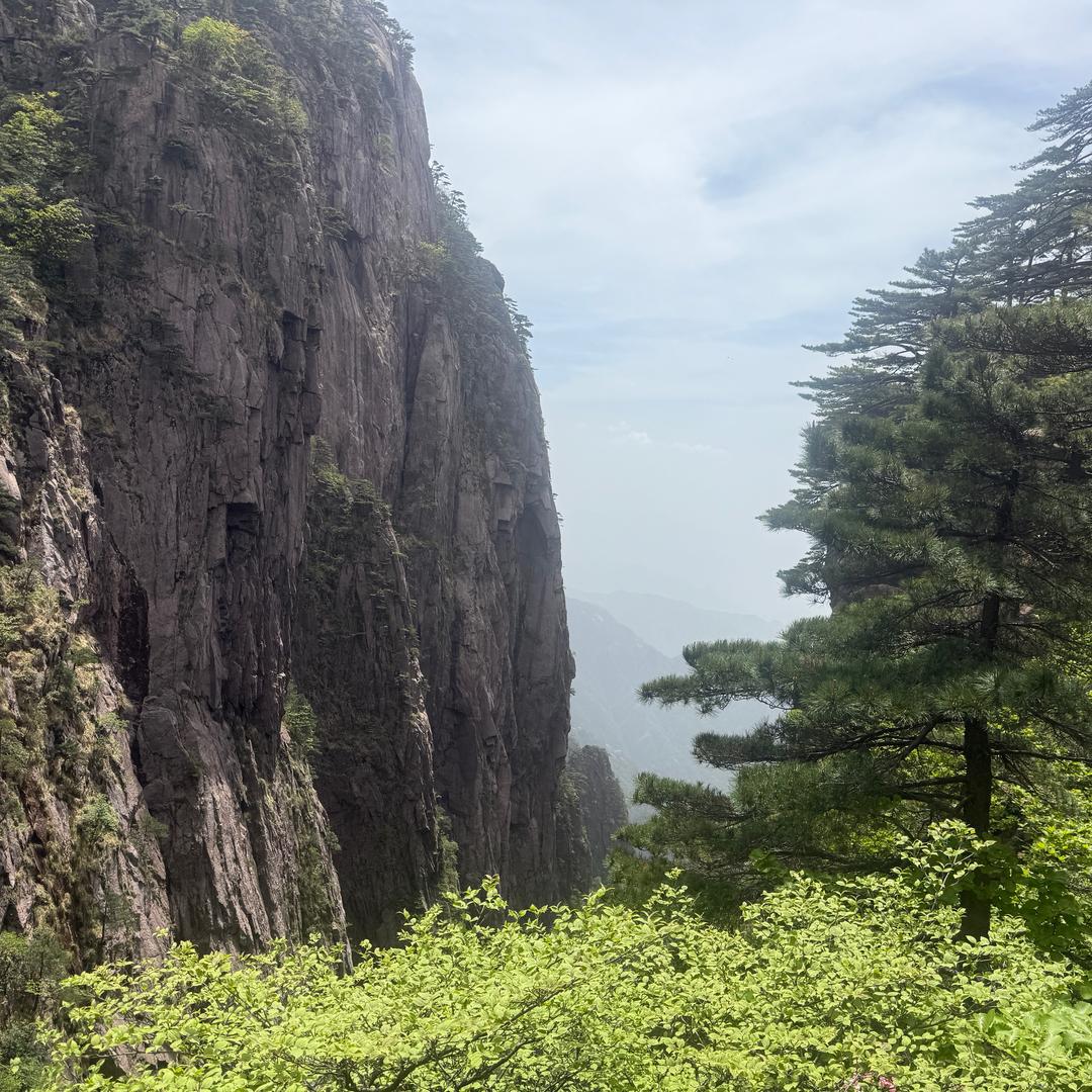 🍨布洛芬🍦(连赞拉黑)