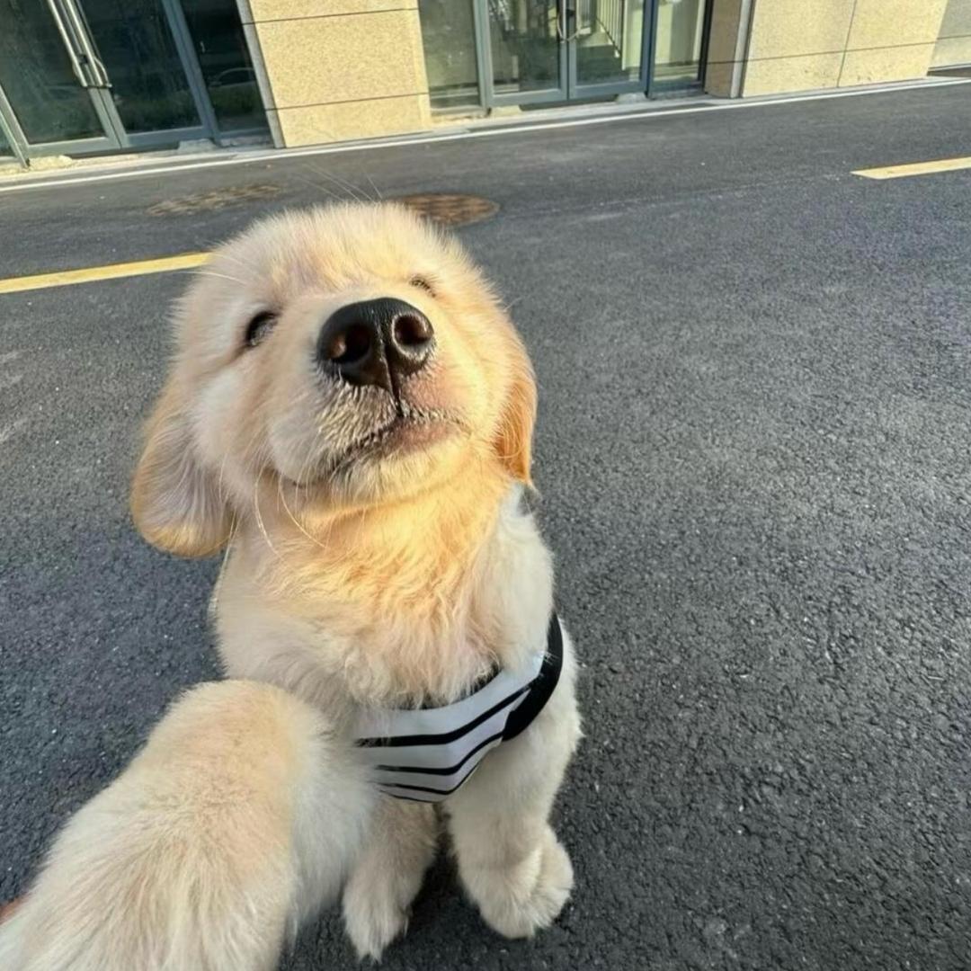 杨博文