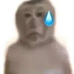 爱吃爆炒兔兔🐰