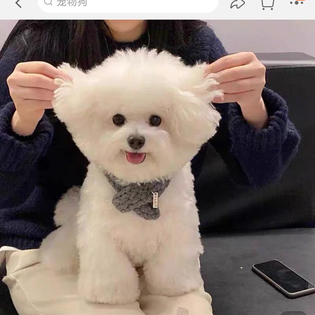 嘿吼嘿吼