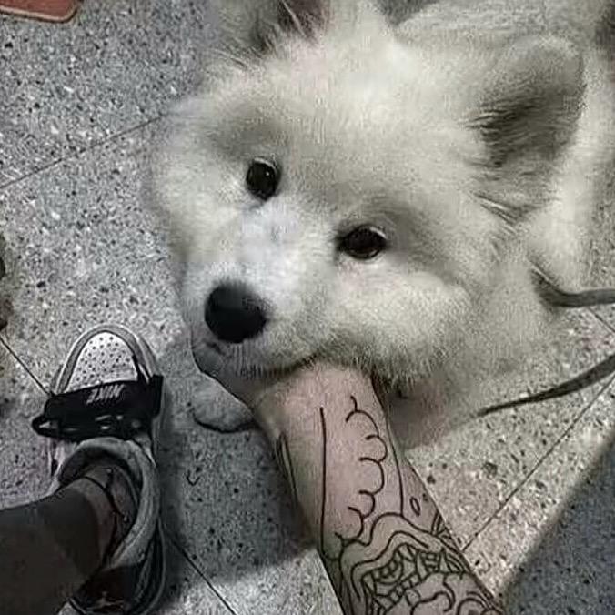 @@小王