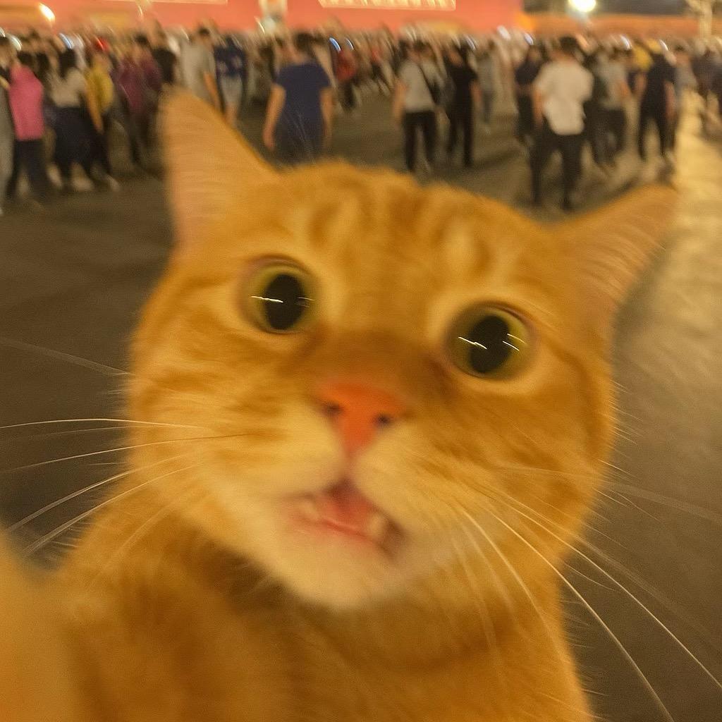 三口