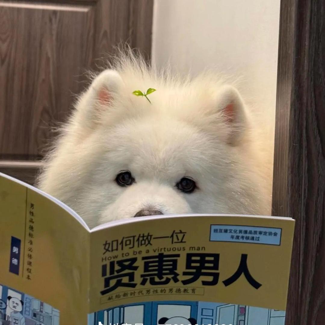 DF-61我比披萨先到