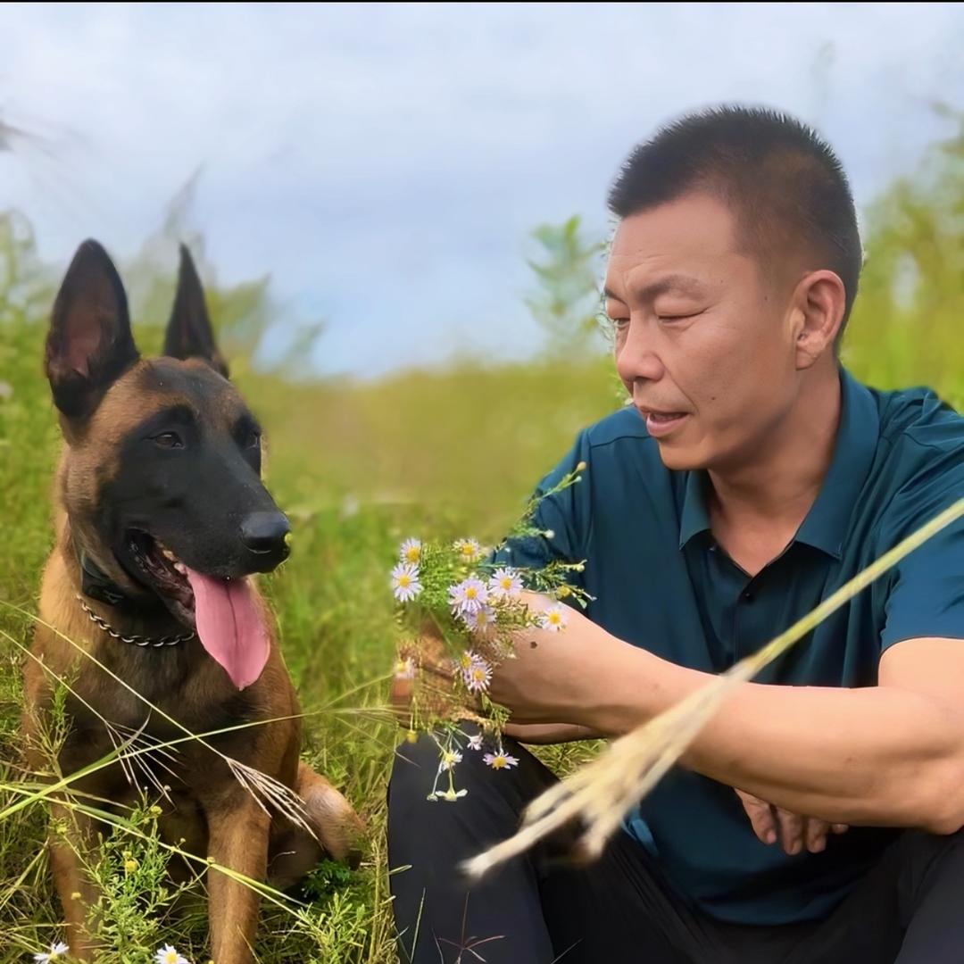 过往哥