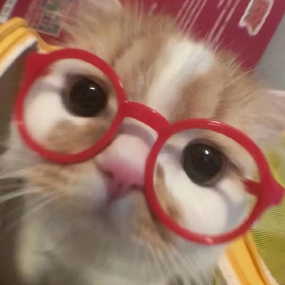 Cattyllo