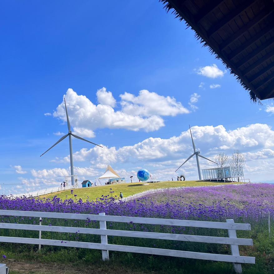 ꩵ࿌ོ࿆某人🦋ཹ࿐