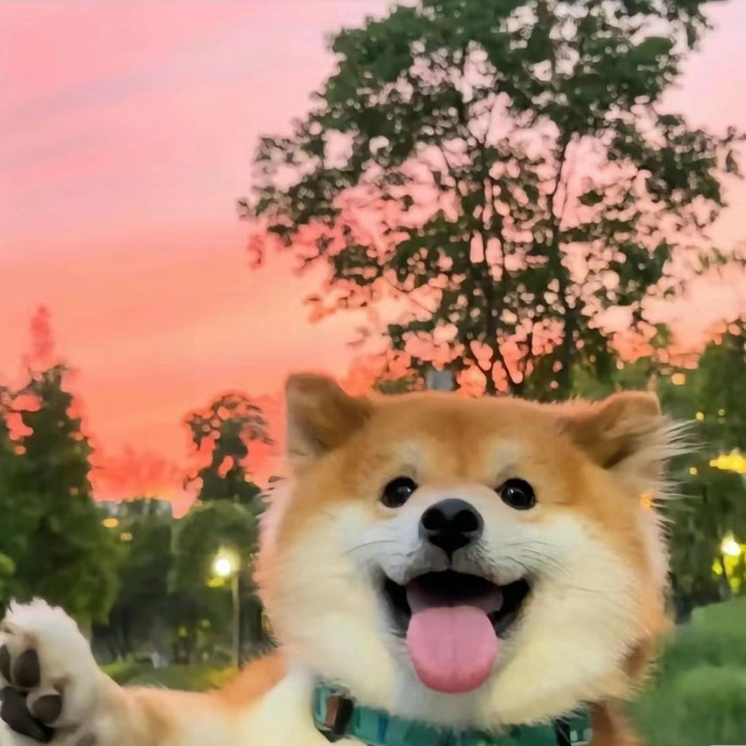 攀企财税小唐