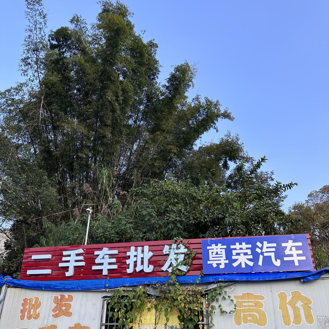 阿彪Zr 尊荣代步车