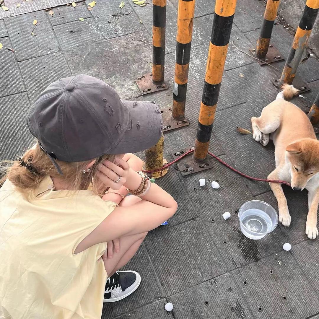 晚安惠子^.