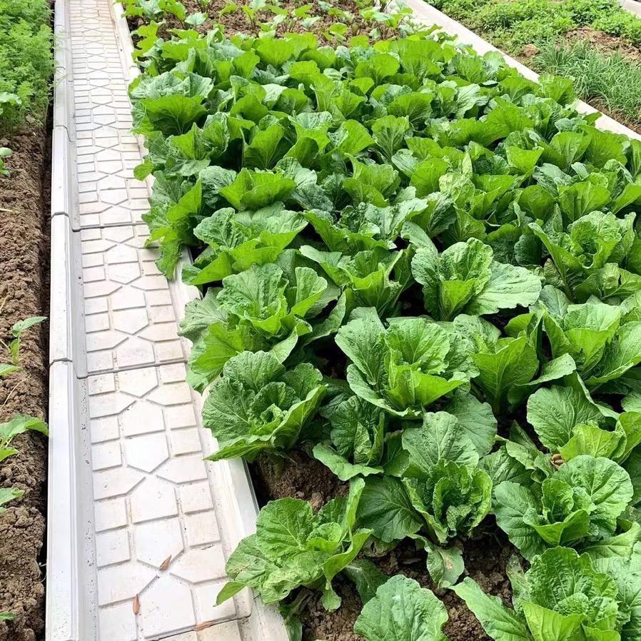 菜沟板工厂直销