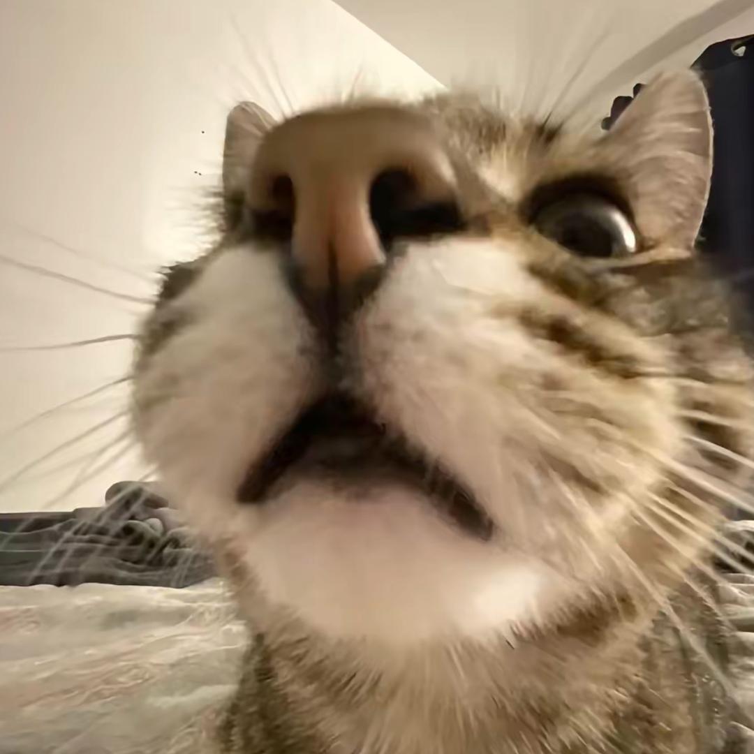 燰