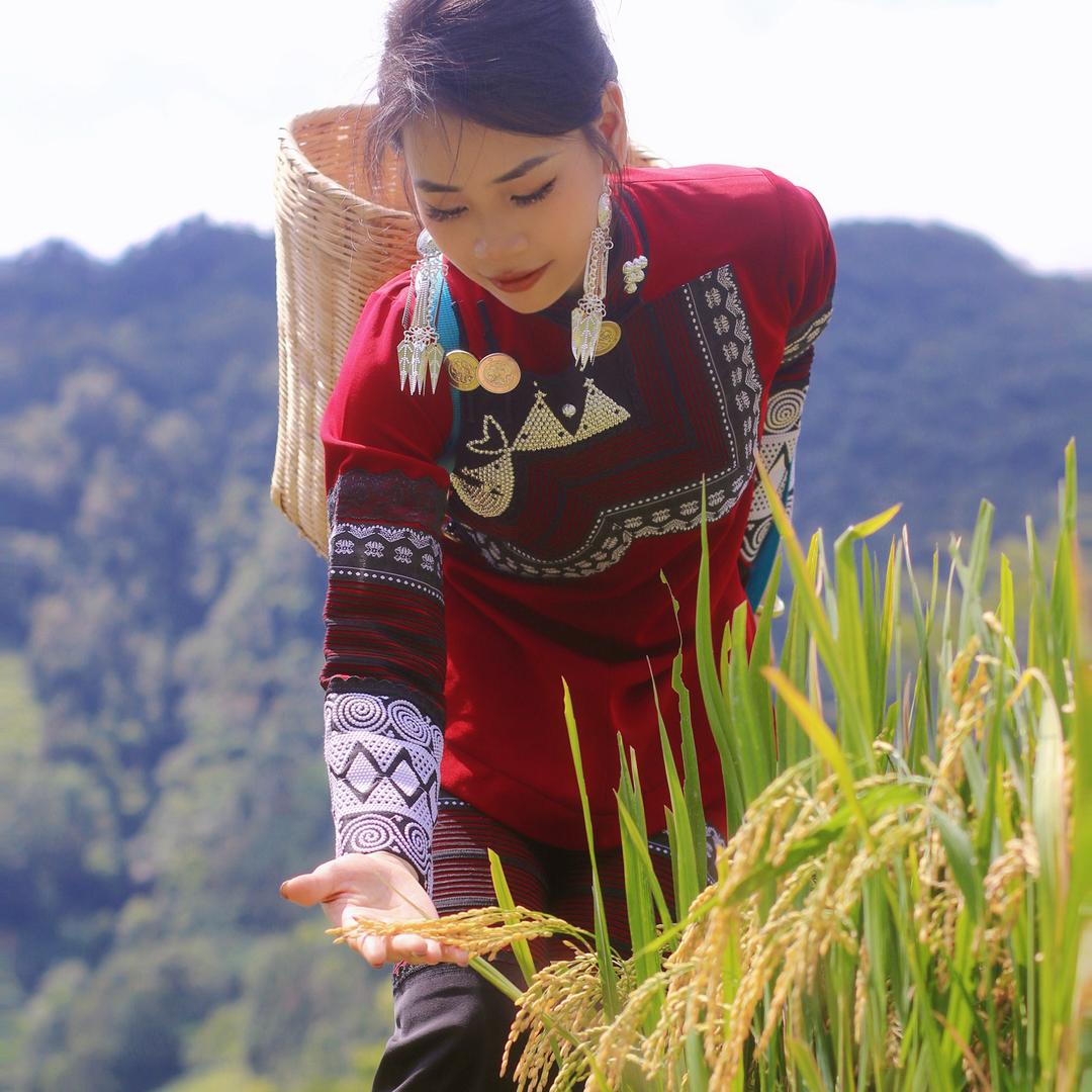 马抽抽
