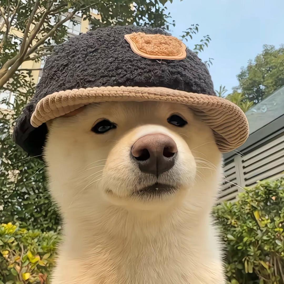 人丑不恋白富美