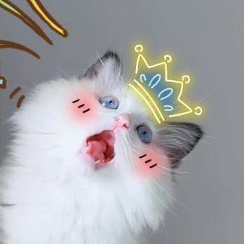 鱼骨头🐱