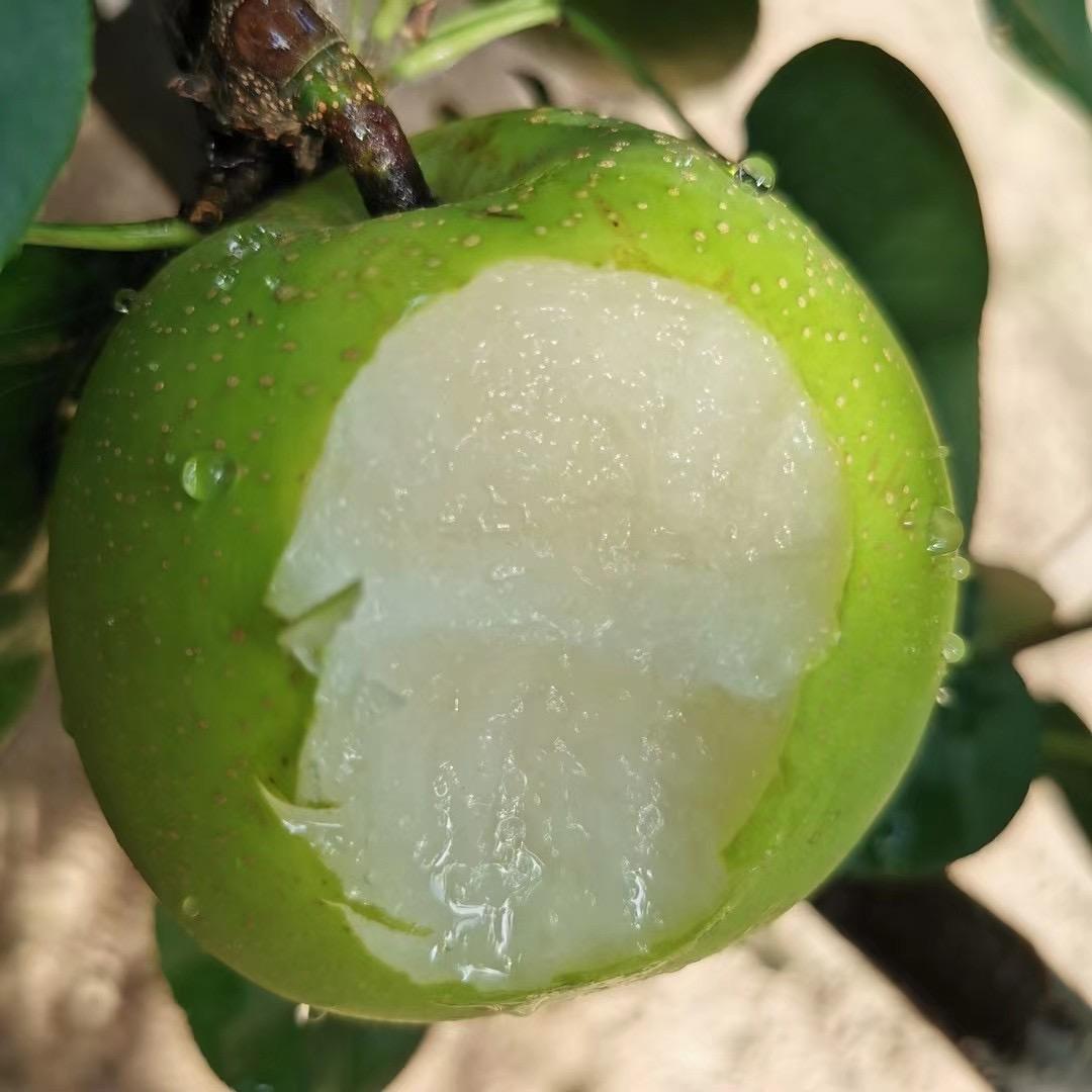 有点田生鲜