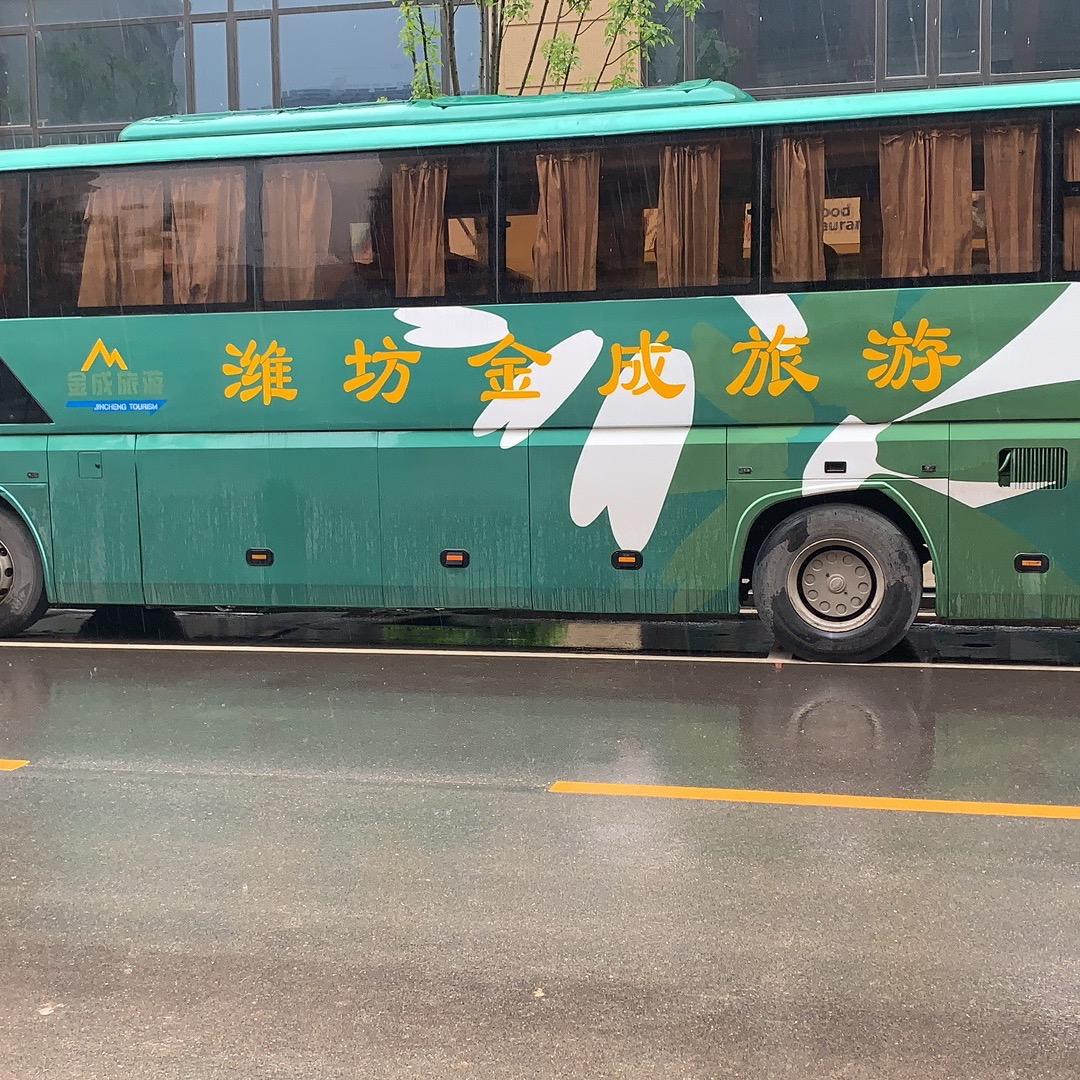 金成客运