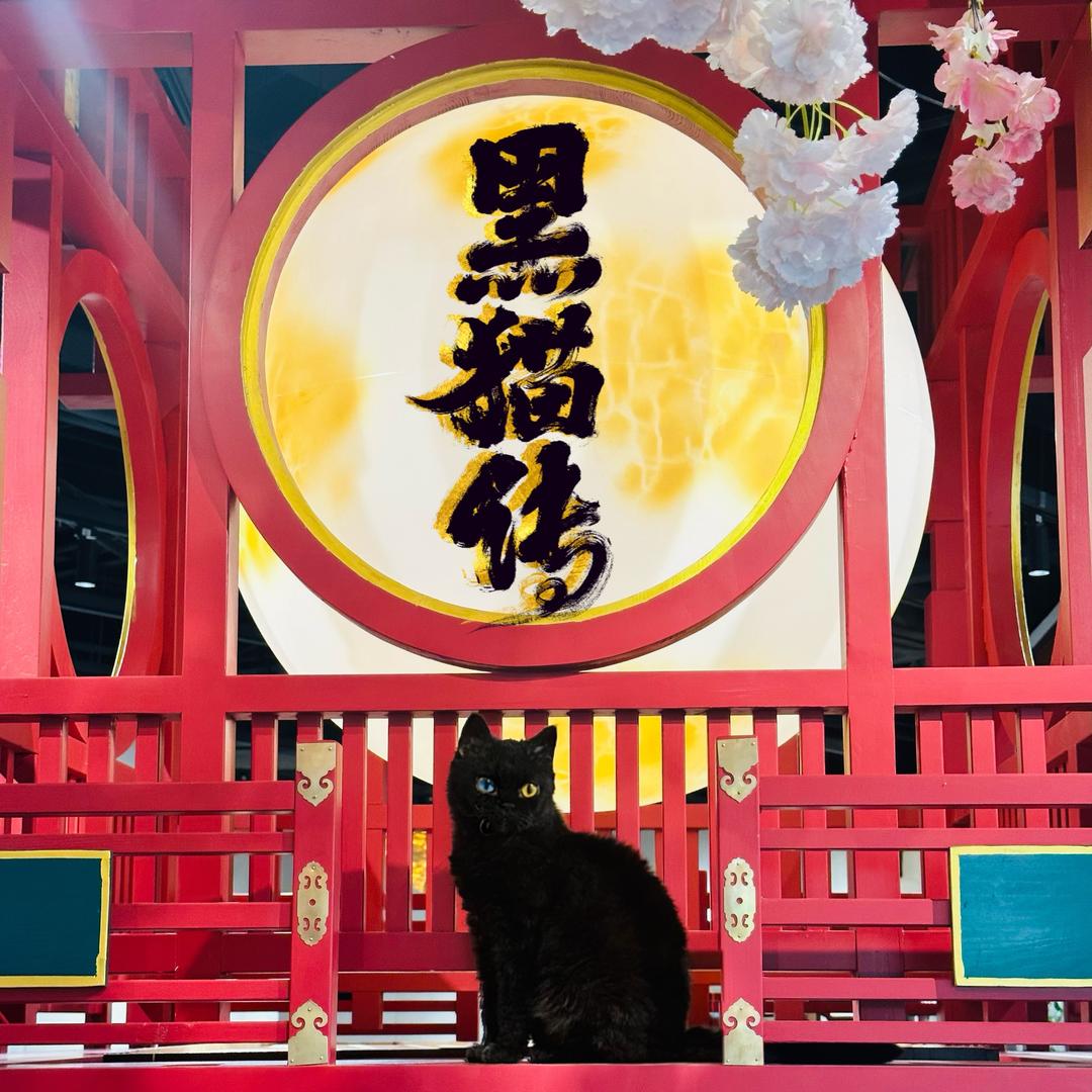 黑猫传