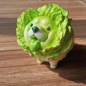 势Zai必行（助理号）