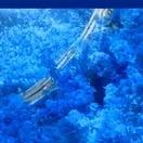 小白牙17.18号公司开业盛典🎉