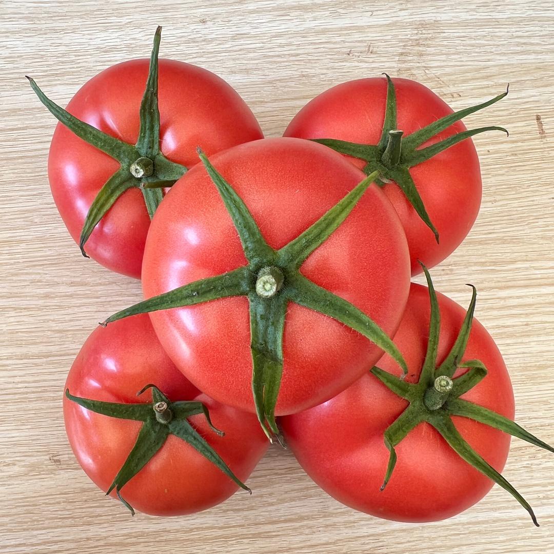 番茄辣椒种子闫老师