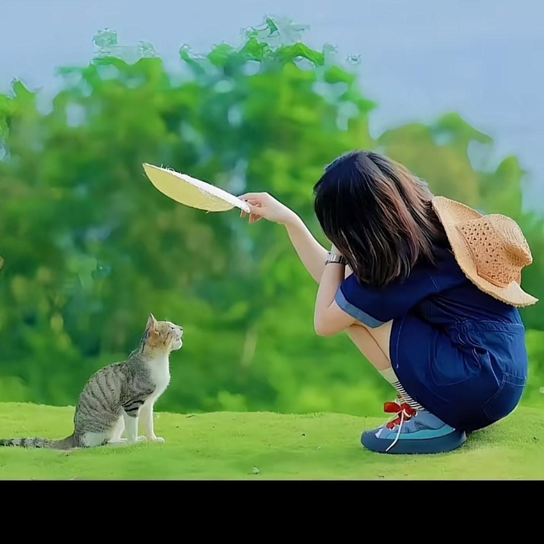 柠檬