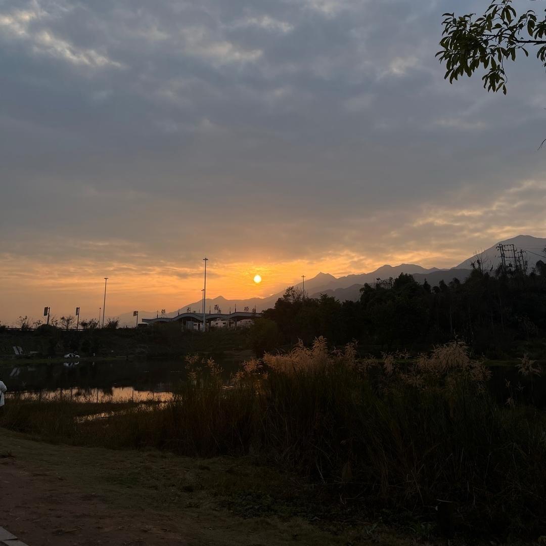 白月光城市之光