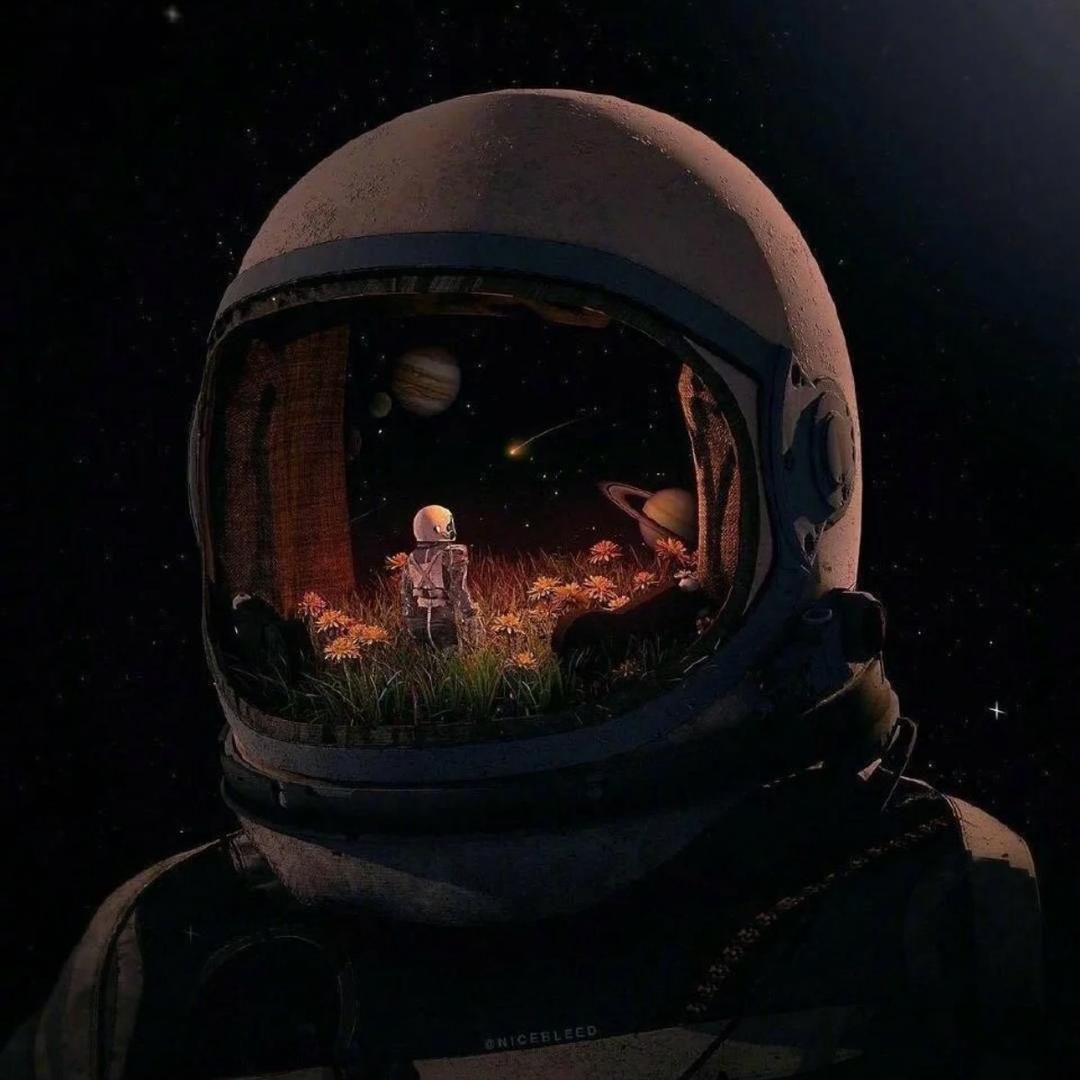 一生只为东方红