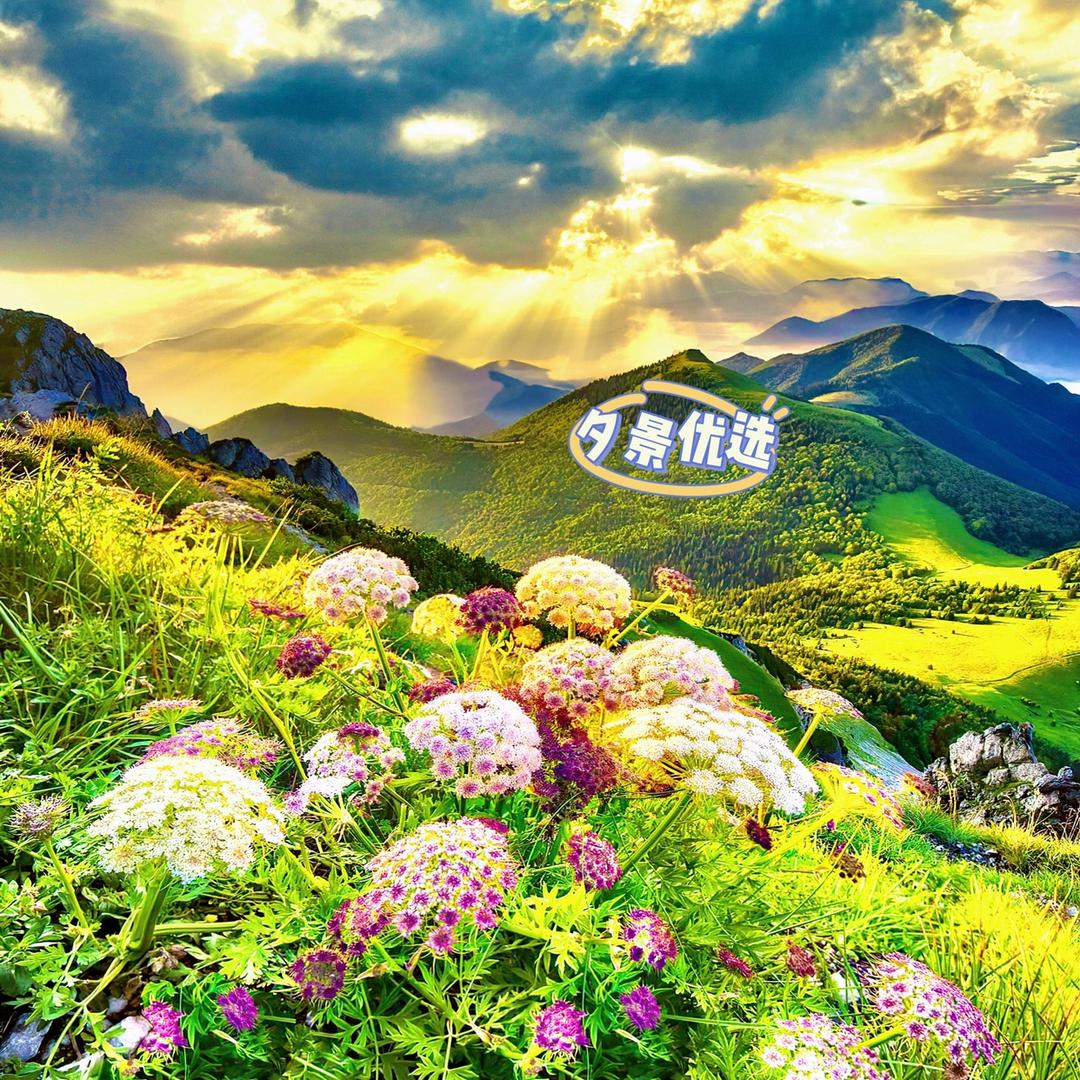 夕景