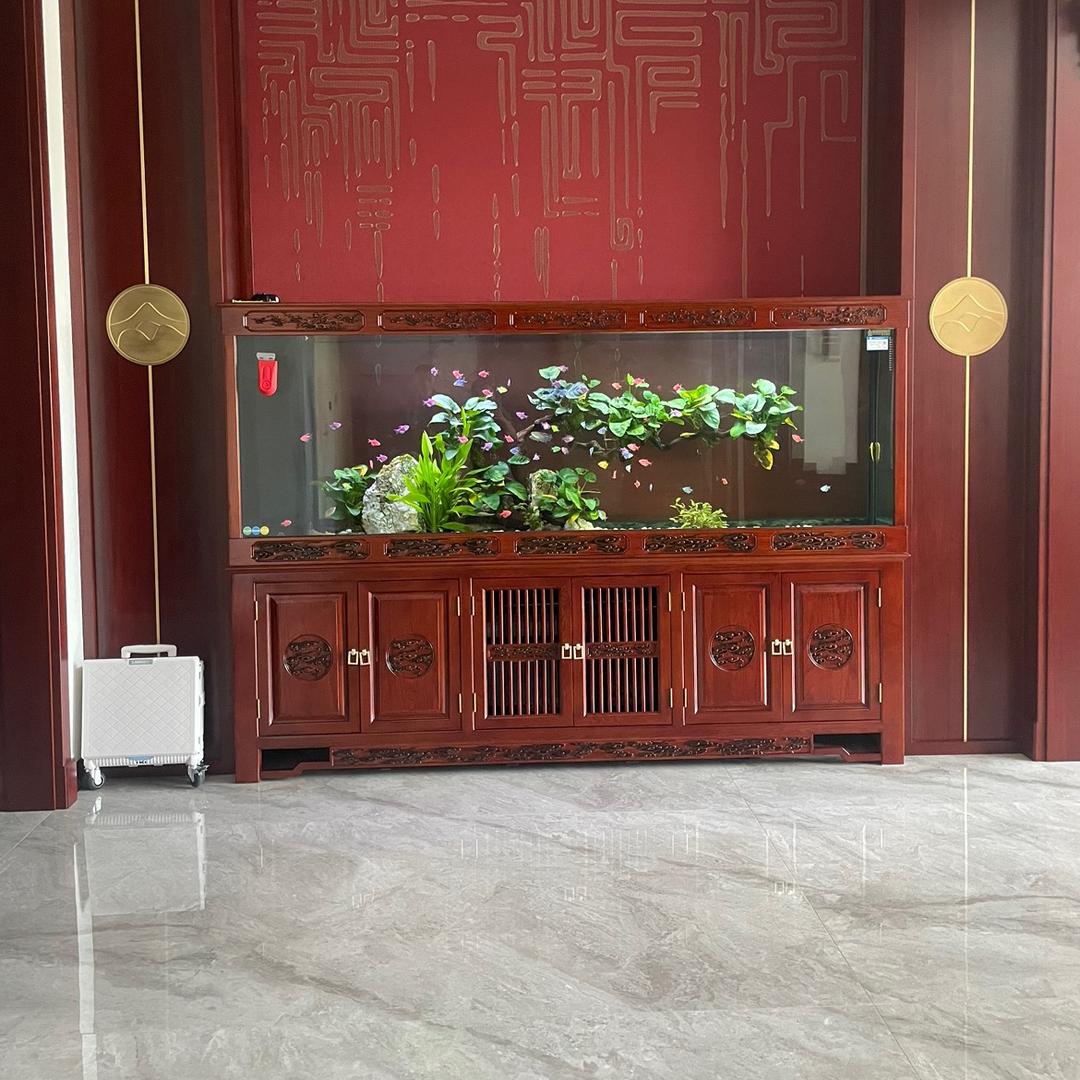 境界-森贝尔生态鱼缸